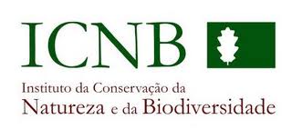 ICNB